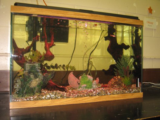 Mrs. Olsen's Tank
